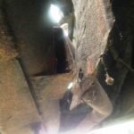 Cforcar Facel Vega Restoration 1 157